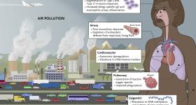 Pathophysiology of Air Pollution–Driven Disease.