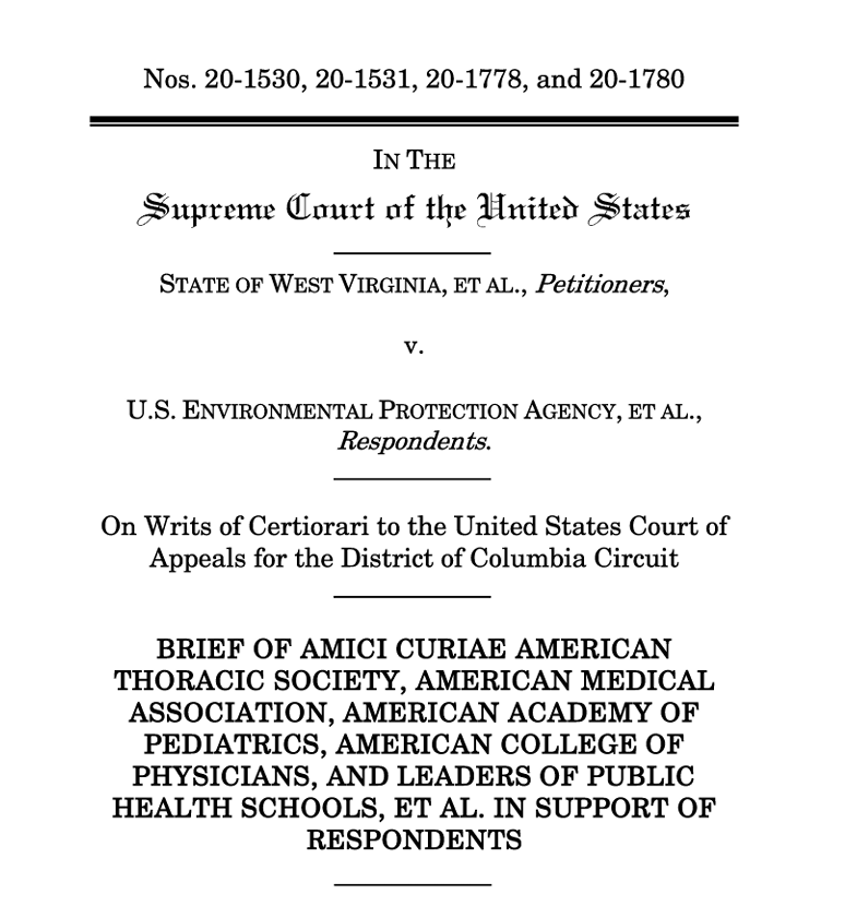 Amicus Brief