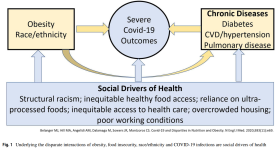 Underlying the disparate interactions of obesity, food insecurity, race/ethnicity and COVID-19 infections are social drivers of health